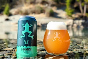 Dead Frog Brewery image