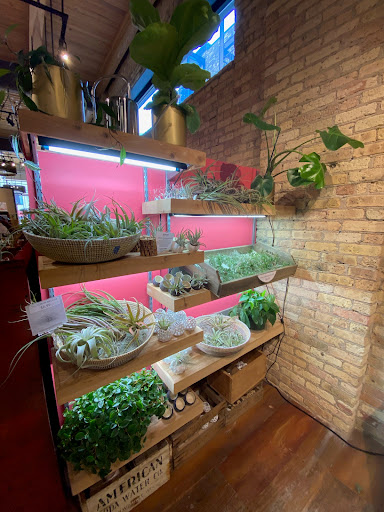 General Store «MOD GEN - A Modern General Store», reviews and photos, 211 N Broadway, Milwaukee, WI 53202, USA