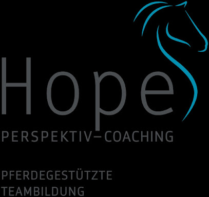 HOPE Perspektiv Coaching Pferdegestützte Teambildung