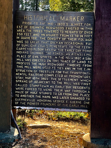 Pharmacy «Safeway Pharmacy», reviews and photos, 16405 CA-116, Guerneville, CA 95446, USA