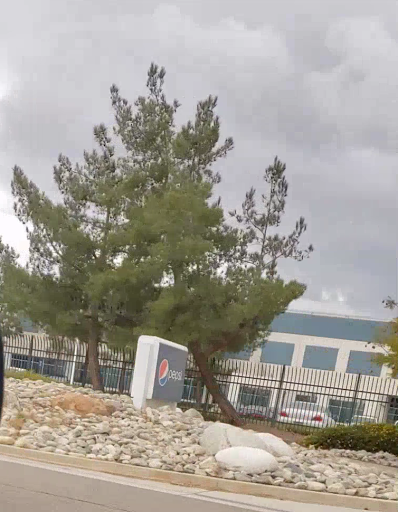 Pepsi Bottling Group - 6