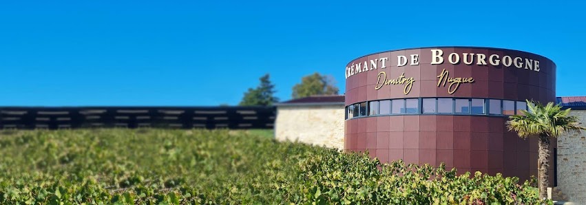 Domaine Château Gaillard 634 Rte de Lentilly, 69380 Lozanne, France