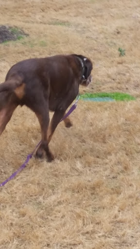 Park «Germany Park», reviews and photos, 6401 Lomo Alto Dr, Dallas, TX 75205, USA