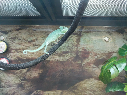 Pet Supply Store «Petco Animal Supplies», reviews and photos, 8164 Mall Pkwy, Lithonia, GA 30038, USA