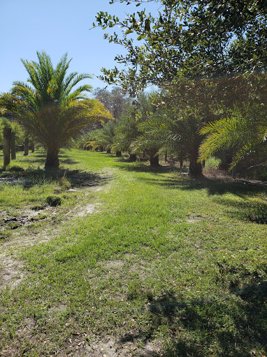 Event Venue «Club Lake Plantation Wedding Venue», reviews and photos, 3403 Rock Springs Rd, Apopka, FL 32712, USA