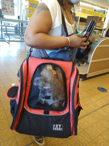 Supermarket «ALDI», reviews and photos, 24130 Van Born Rd, Dearborn Heights, MI 48125, USA