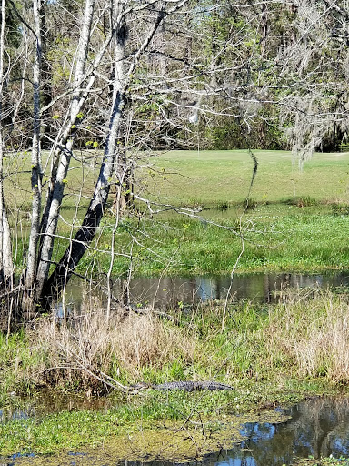 Public Golf Course «Jake Gaither Golf Course», reviews and photos, 913 Bob White Dr, Tallahassee, FL 32305, USA