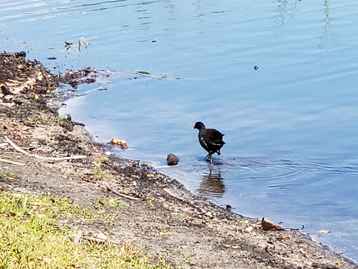 Park «Plantation Heritage Park», reviews and photos, 1100 S Fig Tree Ln, Plantation, FL 33317, USA