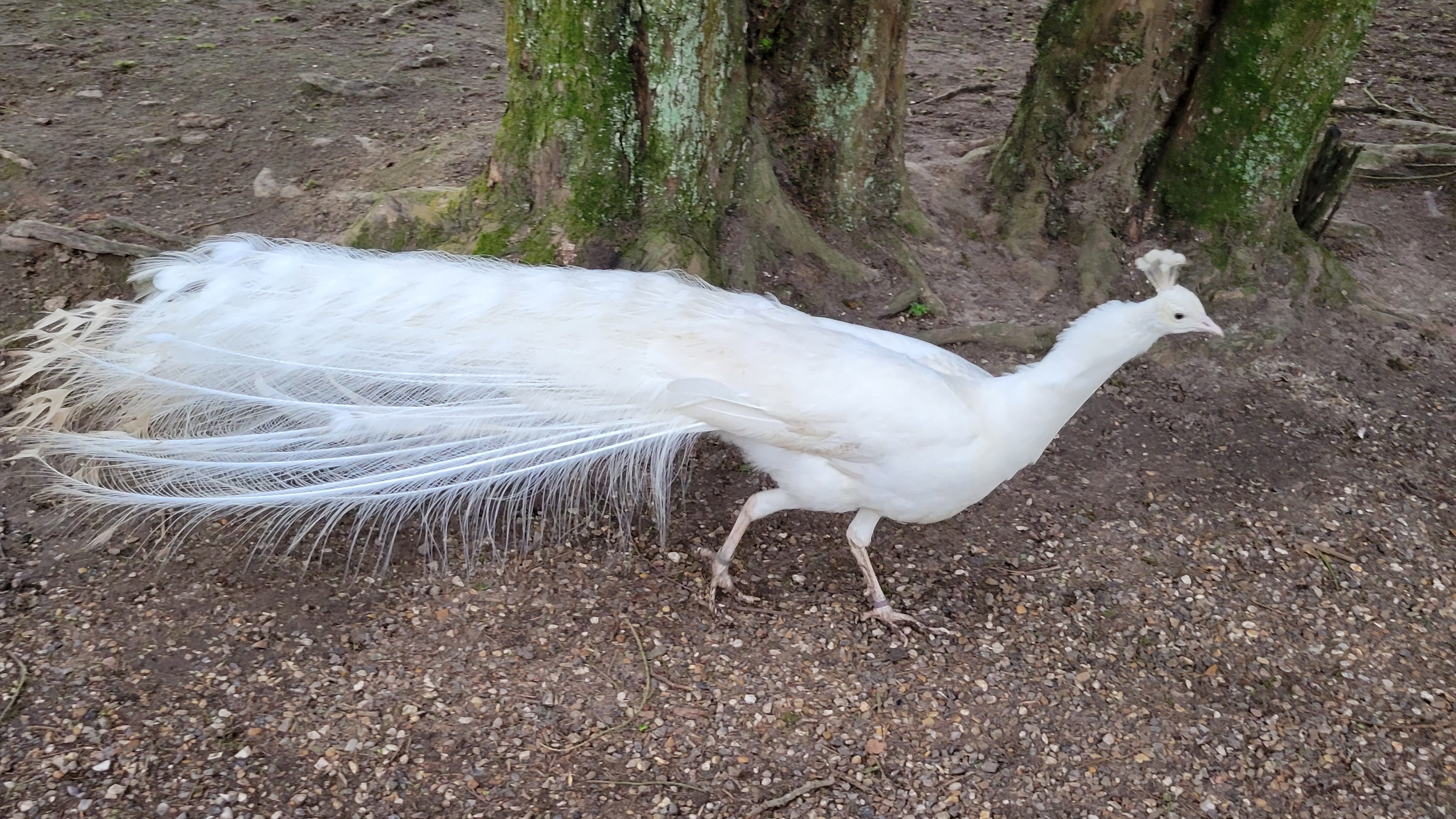 Photo n° 6 de l'avis de Pascal.i fait le 23/03/2023 à 21:02