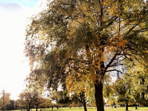 Golf Course «Brighton Park Golf Course», reviews and photos, 70 Brompton Rd, Tonawanda, NY 14150, USA