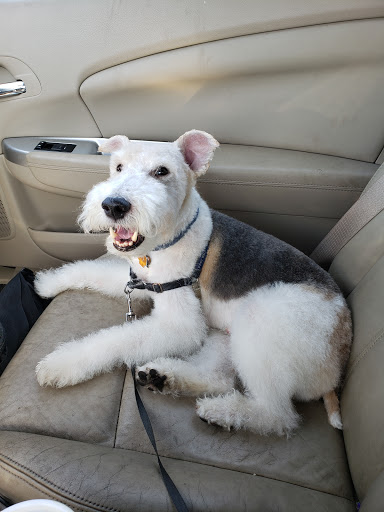 Pet Supply Store «PetSmart», reviews and photos, 2221 Oakton St, Evanston, IL 60202, USA