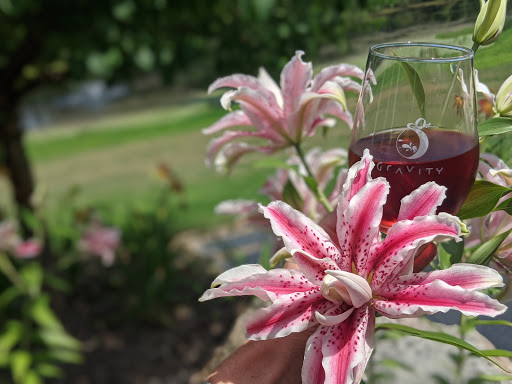 Winery «Gravity Vineyards and Winery», reviews and photos, 10220 Lauer Rd, Baroda, MI 49101, USA