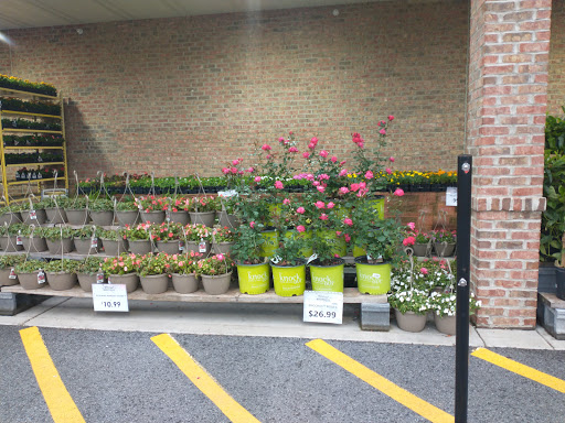 Supermarket «Food City», reviews and photos, 1317 Virginia Ave, Bristol, TN 37620, USA