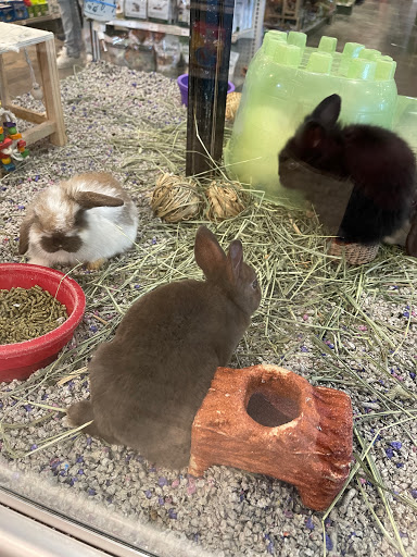 Pet Store «Miles of Exotics», reviews and photos, 8350 N Broadway, Kansas City, MO 64118, USA
