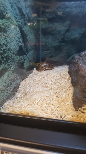 Pet Supply Store «Petco Animal Supplies», reviews and photos, 35860 Chester Rd, Avon, OH 44011, USA