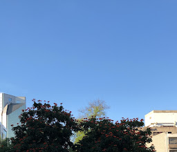 Palacio de Gobierno del Estado de Jalisco photo