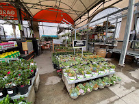 Garden Center at The Home Depot - Photo 5 - Car repair in Riverside, CA, Riverside