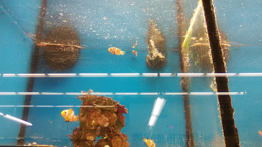 Pet Supply Store «Petco Animal Supplies», reviews and photos, 135 Crooked Run Plaza #10, Front Royal, VA 22630, USA