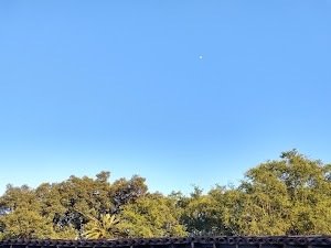 Auros El Poblado - photo 1