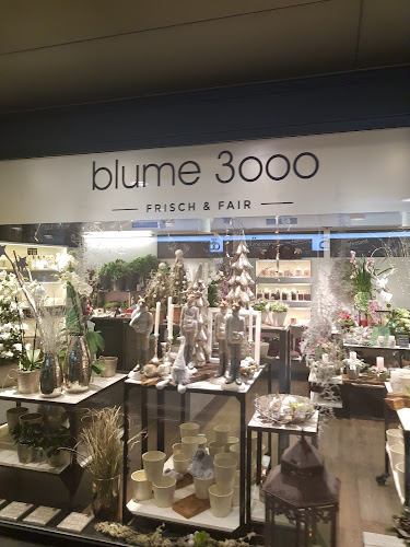 blume 3000 | Zug Bahnhof - Zug