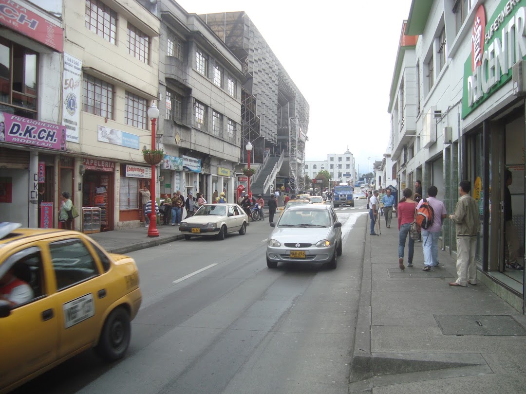 Club de Leones Manizales Monarca