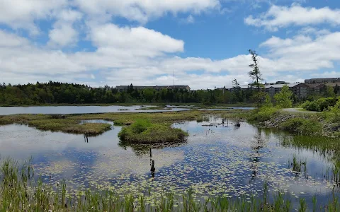 Belchers Marsh Park image