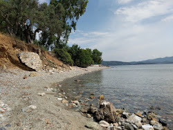 Foto von Great Pau beach mit geräumige bucht