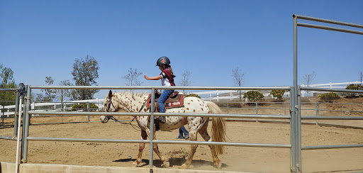 Riding Lessons with Debra Hardman