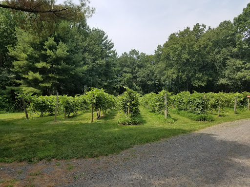 Vineyard «Di Grazia Vineyards & Winery», reviews and photos, 131 Tower Rd, Brookfield, CT 06804, USA