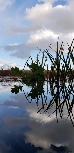 State Park «Lowell-Dracut-Tyngsborough State Forest», reviews and photos, Trotting Park Rd, Dracut, MA 01826, USA