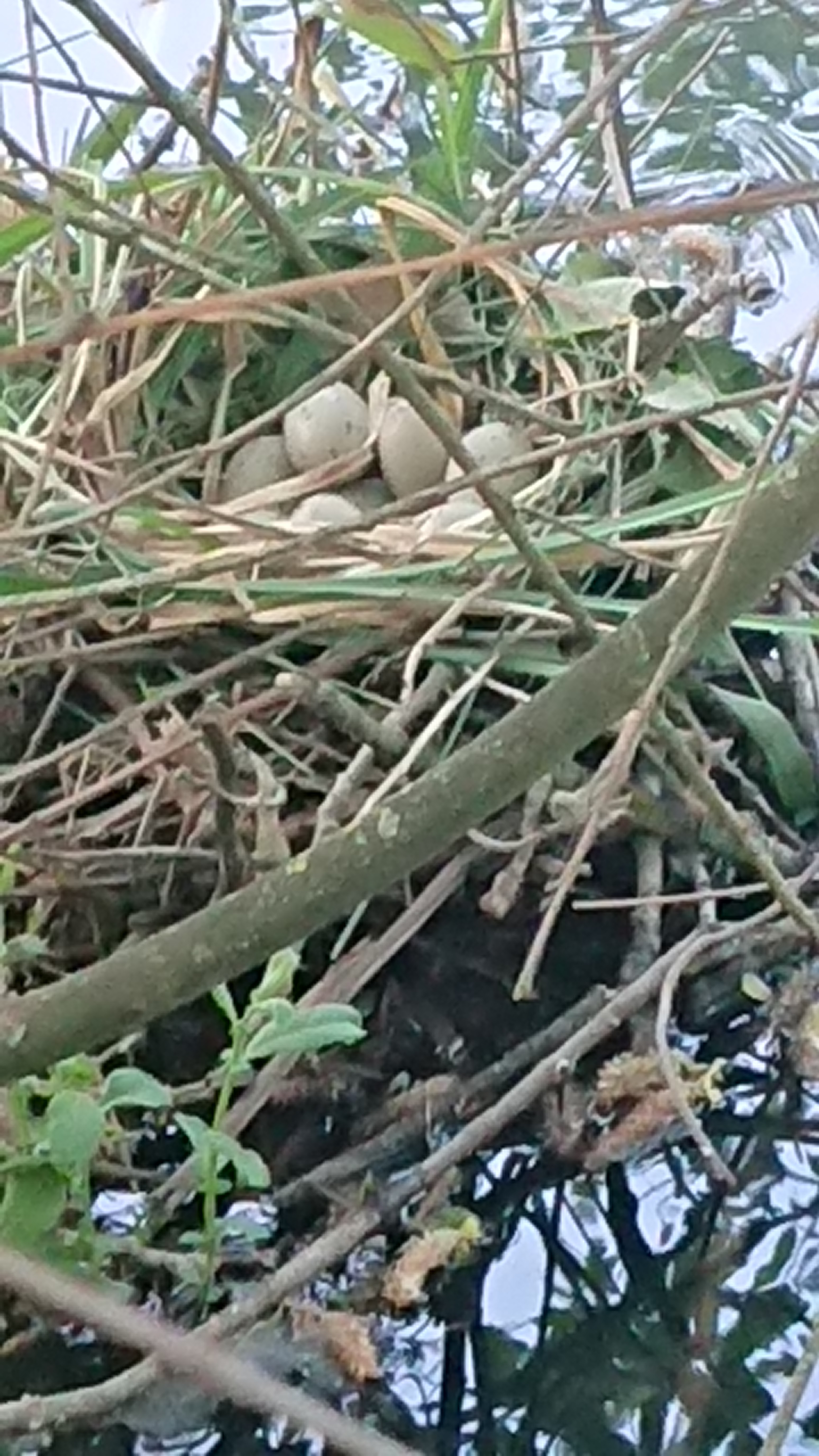 Photo n° 3 de l'avis de Catherine.l fait le 08/05/2018 à 16:57