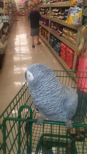 Pet Supply Store «Pet Supplies Plus», reviews and photos, 3040 Cromer Ave NW, Canton, OH 44709, USA