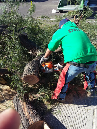 Sporting Goods Store «Big 5 Sporting Goods», reviews and photos, 921 E Southern Ave, Tempe, AZ 85282, USA