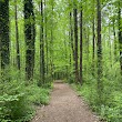 Evergreen Nature Preserve