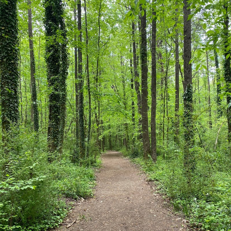 Evergreen Nature Preserve