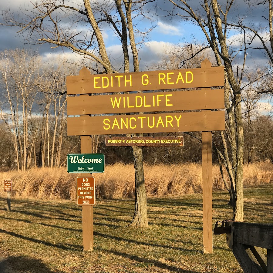 Edith Read Wildlife Sanctuary