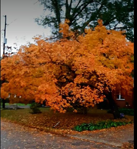 Pet Supply Store «Petco Animal Supplies», reviews and photos, 4011 Durham-Chapel Hill Blvd, Durham, NC 27707, USA