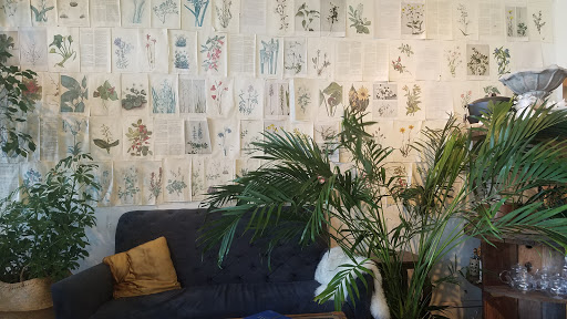 Florist «Flora», reviews and photos, 428 Haywood Rd B, Asheville, NC 28806, USA