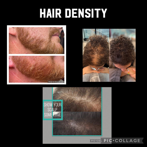 Explore nature tattoo sleeve ideas, creative tattoo ideas in South Charleston, available at TORQUE Tattoo