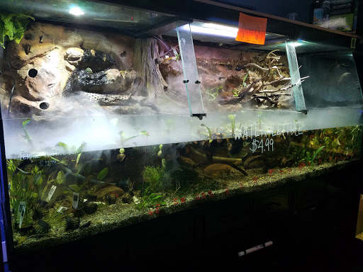 Tropical Fish Store «Pisces Reef Fish Emporium, LLC», reviews and photos, 9326 W Sahara Ave, Las Vegas, NV 89117, USA