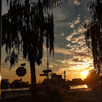 Photo n°3 de l'avis de Dude.e fait le 08/09/2023 à 19:31 sur le  Gernsemer Fährhaus à Gernsheim