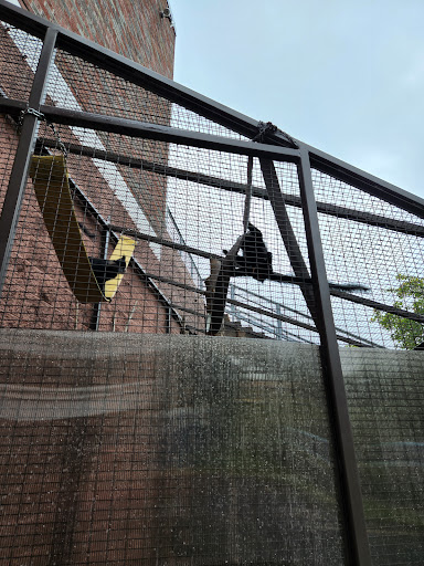 Zoo «Lake Superior Zoo», reviews and photos, 7210 Fremont St, Duluth, MN 55807, USA