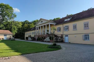 Schloss Rotenfels image