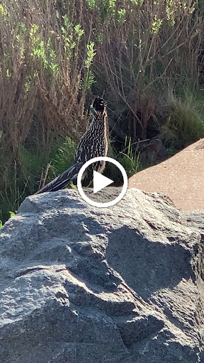 Nature Preserve «Peter and Mary Muth Interpretive Center», reviews and photos, 2301 University Dr, Newport Beach, CA 92660, USA