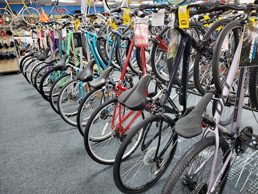Bicycle Store «Fort Myers Cyclery - Schwinn GT Jamis Colnago», reviews and photos, 3630 S Cleveland Ave, Fort Myers, FL 33901, USA