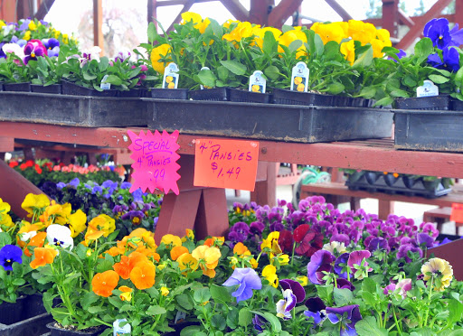 Animal Feed Store «Burns Feed Store», reviews and photos, 29215 SE Orient Dr, Gresham, OR 97080, USA