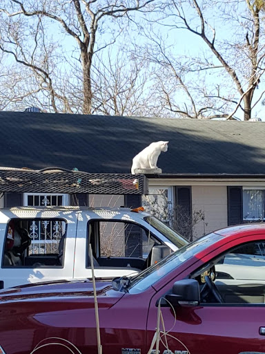 Fast Food Restaurant «Chick-fil-A», reviews and photos, 5409 Indian River Rd, Virginia Beach, VA 23464, USA