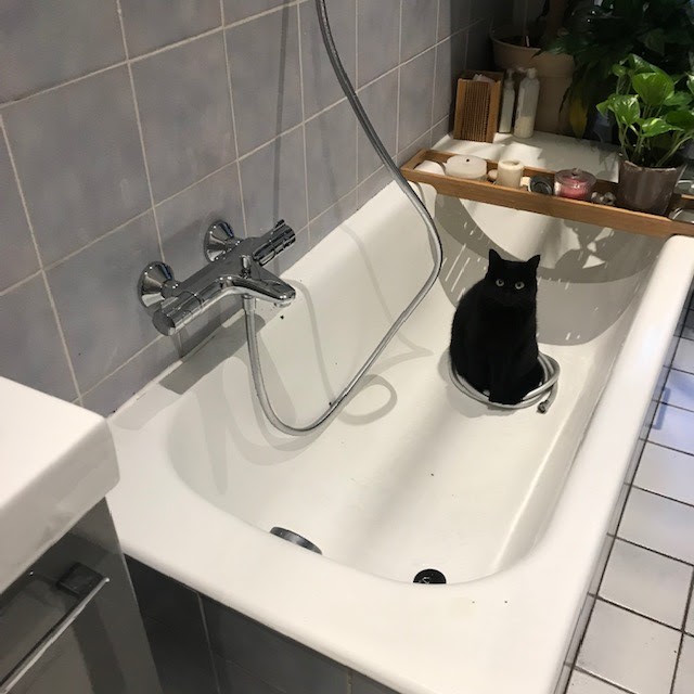 Photo n° 1 de l'avis de Julie.. fait le 15/02/2019 à 13:46