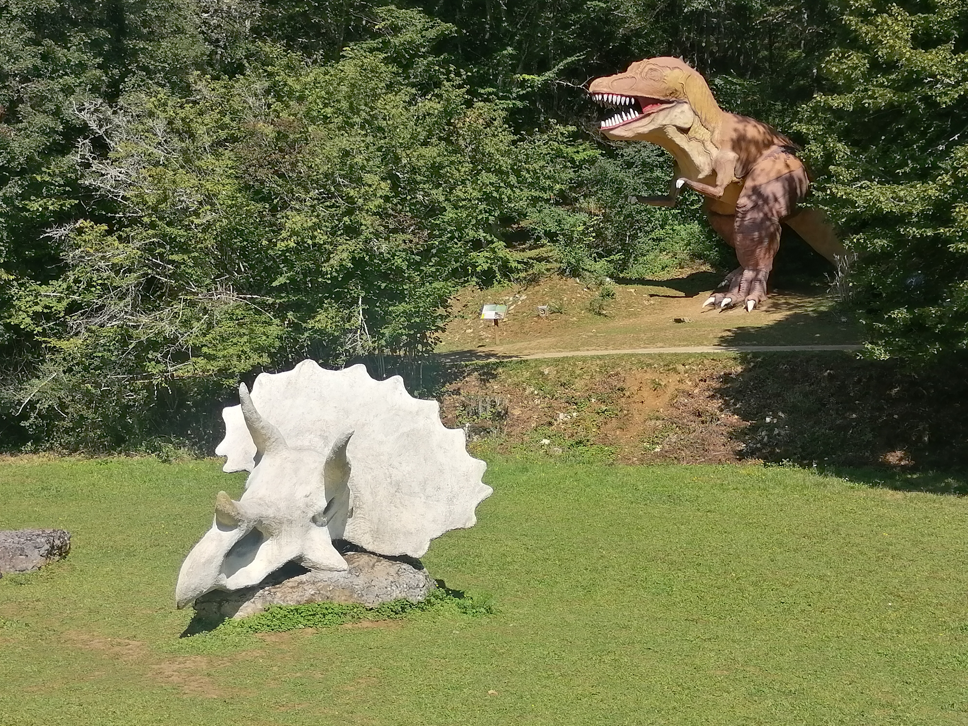 Photo n° 2 de l'avis de Manon.e fait le 24/08/2021 à 05:29