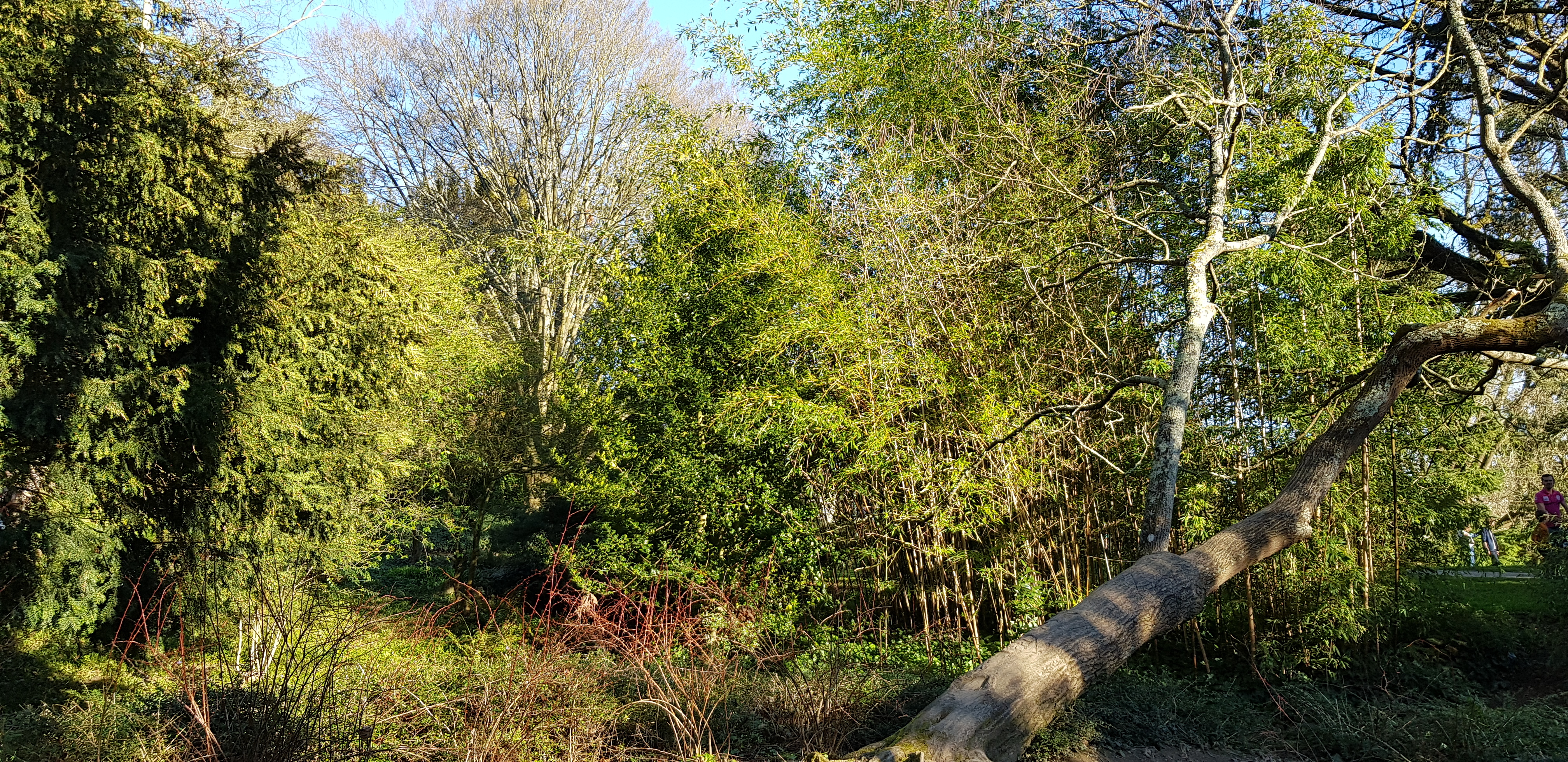 Photo n° 6 de l'avis de Cay.h fait le 24/02/2019 à 17:06
